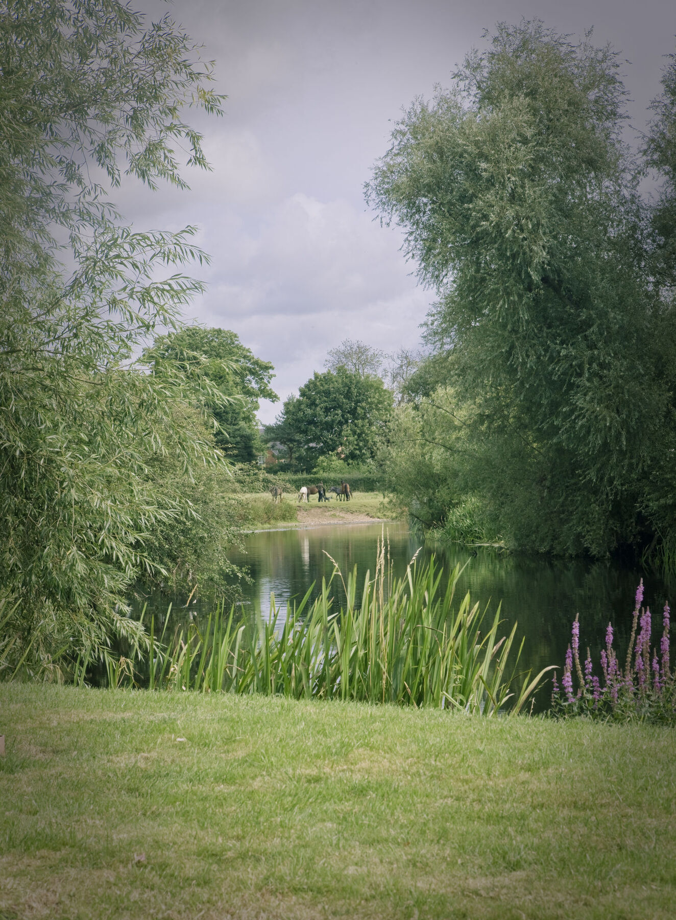 Quorn Country Leicester 4* Loughborough